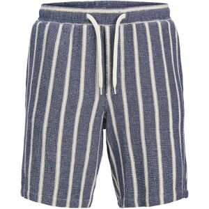 Jack & Jones Plus - Shorts jpstJaiden Coba Stripe Jog Short SN - Blå - Shorts Jack & Jones Plus - Shorts jpstJaiden Coba Stripe Jog Short SN - Blå - Shorts