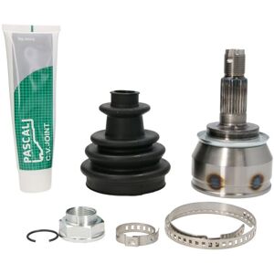 PASCAL G1B006PC Giunto CV - Lato trasmissione, 26/23 Denti, Termoplastico PASCAL G1B006PC Giunto CV - Lato trasmissione, 26/23 Denti, Termoplastico