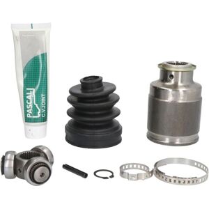 PASCAL G77008PC Kit de Bolas de la Junta de Eje - Impreza II Sedán, Forester I PASCAL G77008PC Kit de Bolas de la Junta de Eje - Impreza II Sedán, Forester I