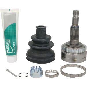 PASCAL G1X035PC Aandrijfas-dichtset - 33 Tanden, 22 Tanden, 81mm Diameter PASCAL G1X035PC Aandrijfas-dichtset - 33 Tanden, 22 Tanden, 81mm Diameter