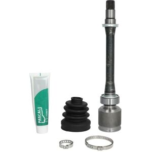 Pascal G82004PC Giunto universale per albero di trasmissione anteriore destro - Giunto universale Pascal G82004PC Giunto universale per albero di trasmissione anteriore destro - Giunto universale