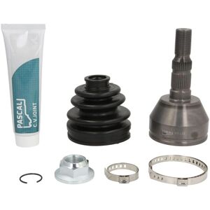 PASCAL G1X024PC Cardan Joint - Transmission Side for Opel & Vauxhall - Publicité PASCAL G1X024PC Cardan Joint - Transmission Side for Opel & Vauxhall - Publicité