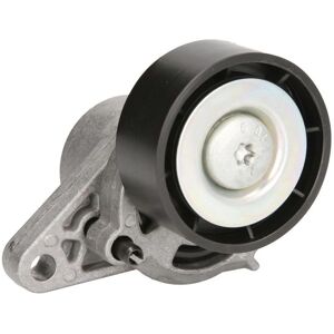 Renault E3R0001BTA Jännityspulley - Tensioner Pulley Renault E3R0001BTA Jännityspulley - Tensioner Pulley