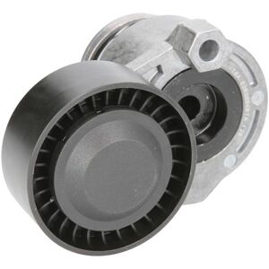 BTA E3R0004BTA - Tensioner pully för Renault Nissan Dacia Lada BTA E3R0004BTA - Tensioner pully för Renault Nissan Dacia Lada