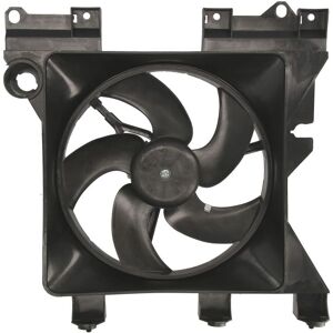 THERMOTEC D8C007TT Ventola di raffreddamento motore - Destra THERMOTEC D8C007TT Ventola di raffreddamento motore - Destra