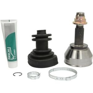PASCAL G1P002PC Nivel - Pyörän puoli, Tiiviste, 100mm ulkopuoli PASCAL G1P002PC Nivel - Pyörän puoli, Tiiviste, 100mm ulkopuoli