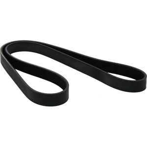 DAYCO Malli 188A2.000 Moniripainen hihna - Moniripainen hihna DAYCO Malli 188A2.000 Moniripainen hihna - Moniripainen hihna