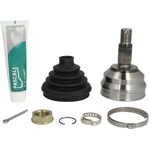 PASCAL G1F020PC Cardanasjoint voor Fiat, Citroën, Peugeot PASCAL G1F020PC Cardanasjoint voor Fiat, Citroën, Peugeot