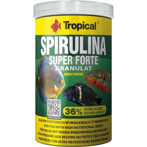 Nourriture pour Poissons Spirulina Super Forte - Type: Tropical, Modèle: 1000ml, Variante: Transparent - Publicité Nourriture pour Poissons Spirulina Super Forte - Type: Tropical, Modèle: 1000ml, Variante: Transparent - Publicité