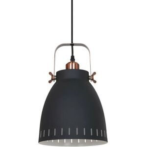 Italux Franklin - Industrial And Retro Pendant Light - 1 Light, Graphite & Red Copper Italux Franklin - Industrial And Retro Pendant Light - 1 Light, Graphite & Red Copper