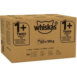 Whiskas 1+ Cat Pouches Mixed Selection in Jelly - Cat Food Whiskas 1+ Cat Pouches Mixed Selection in Jelly - Cat Food