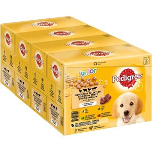 PEDIGREE Junior Reiss in Gelee - Hundefutter PEDIGREE Junior Reiss in Gelee - Hundefutter