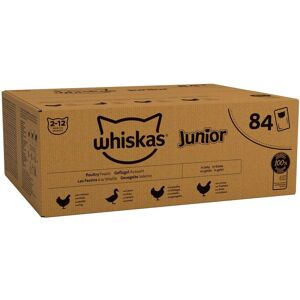 Whiskas Junior wet cat food poultry selection in jelly 84x85g Whiskas Junior wet cat food poultry selection in jelly 84x85g