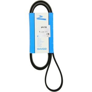 DAYCO Transporter 4 Poly-V hihna DAYCO Transporter 4 Poly-V hihna