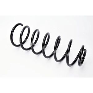 MAGNUM TECHNOLOGY SX117MT Hinterachse Helical Feder MAGNUM TECHNOLOGY SX117MT Hinterachse Helical Feder