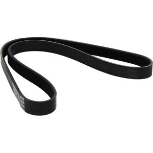 DAYCO 5PK968 V- hihna DAYCO 5PK968 V- hihna