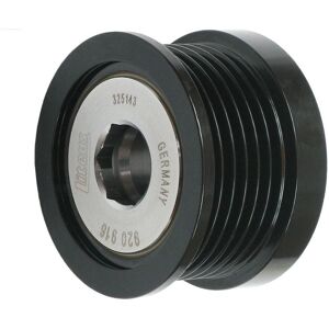 AC-PL AFP6044(LITENS) Polea de Alternador - Para Ford, Volvo, Mazda AC-PL AFP6044(LITENS) Polea de Alternador - Para Ford, Volvo, Mazda