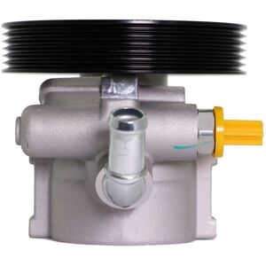 LAUBER 55.0729 Hydraulische pomp - Compatibel met SAGINAW LAUBER 55.0729 Hydraulische pomp - Compatibel met SAGINAW