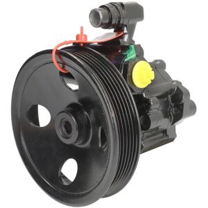 LAUBER 55.9959 Hydraulische pomp - Hydraulisch stuurinrichting LAUBER 55.9959 Hydraulische pomp - Hydraulisch stuurinrichting