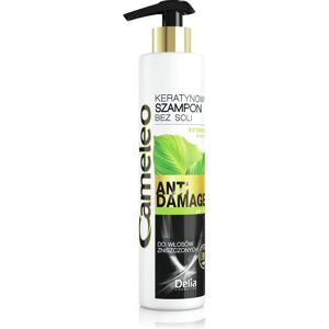 Cameleo Anti-Static Shampoo - Hiustenhoito Cameleo Anti-Static Shampoo - Hiustenhoito