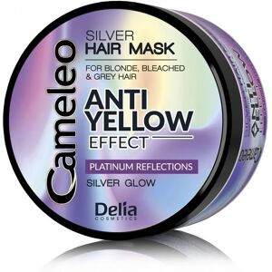 Masque Argent pour Cheveux - Soin pour Cheveux Blonds - 200ml Masque Argent pour Cheveux - Soin pour Cheveux Blonds - 200ml