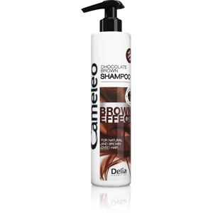 Cameleo Marque Modèle Coloration Cheveux Marron - Sérum & Shampoo - Publicité Cameleo Marque Modèle Coloration Cheveux Marron - Sérum & Shampoo - Publicité