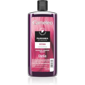 Delia Cosmetics Cameleo Pink Hiustenhoitoaine - Hiustyyppi Delia Cosmetics Cameleo Pink Hiustenhoitoaine - Hiustyyppi