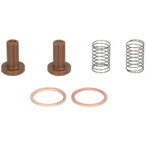 ENGITECH ENT200008 Kraftstoffpumpe Reparatursatz - Reparatieset ENGITECH ENT200008 Kraftstoffpumpe Reparatursatz - Reparatieset