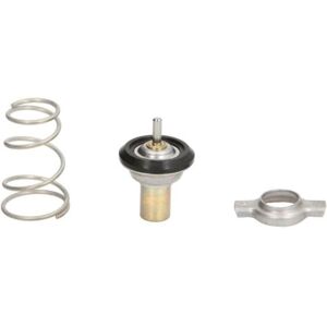 THERMOTEC D2F002TT - Termostato per Fiat, Lancia, Autobianchi THERMOTEC D2F002TT - Termostato per Fiat, Lancia, Autobianchi