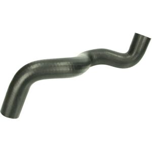 THERMOTEC DWX017TT - Radiator Slang THERMOTEC DWX017TT - Radiator Slang