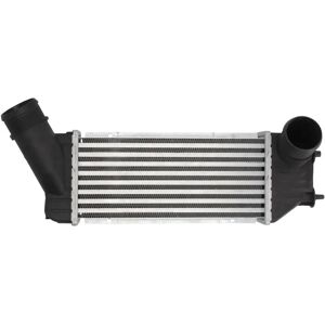 Intercooler Thermotec DAC001TT - alluminio, plastica, 300x127x64mm Intercooler Thermotec DAC001TT - alluminio, plastica, 300x127x64mm