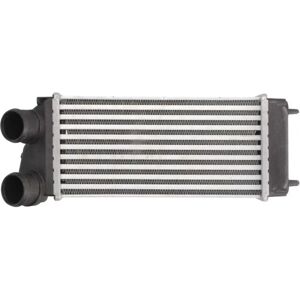 THERMOTEC DAC004TT Intercooler - Citroën C4 Picasso, 300x142x85 mm - Publicité THERMOTEC DAC004TT Intercooler - Citroën C4 Picasso, 300x142x85 mm - Publicité