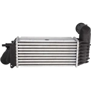 Intercooler in alluminio THERMOTEC DAC005TT - Aria/Aria, Acqua/Aria - Peugeot 406, 607, Citroën C5 Intercooler in alluminio THERMOTEC DAC005TT - Aria/Aria, Acqua/Aria - Peugeot 406, 607, Citroën C5