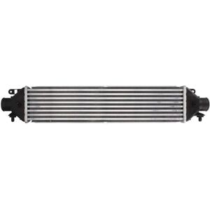 Intercooler THERMOTEC DAD002TT - Cambio manuale Intercooler THERMOTEC DAD002TT - Cambio manuale