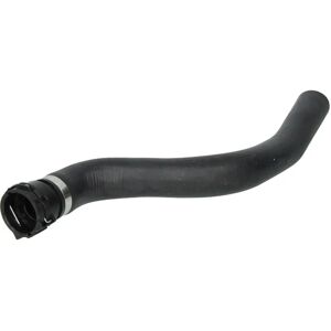 THERMOTEC DCG035TT - Joustava jäähdyttimen letku - Kumimateriaali, Yläasennuspaikka THERMOTEC DCG035TT - Joustava jäähdyttimen letku - Kumimateriaali, Yläasennuspaikka