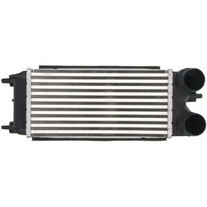 THERMOTEC DAG018TT Intercooler - Ilma-Ilma, Vesi-Ilma, Ford: Fiesta 6, B-Max, Transit Courier THERMOTEC DAG018TT Intercooler - Ilma-Ilma, Vesi-Ilma, Ford: Fiesta 6, B-Max, Transit Courier