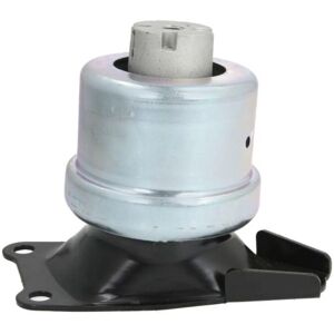 REINHOCH RH11-0059 Supporto motore - Supporto motore REINHOCH RH11-0059 Supporto motore - Supporto motore