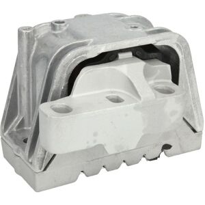 Supporto motore destro REINHOCH RH11-0067 Metallo-gomma VW Skoda Supporto motore destro REINHOCH RH11-0067 Metallo-gomma VW Skoda