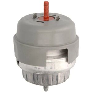 REINHOCH RH11-0097 Motorhalter - Hydraulischer Support für Audi A6 C6 REINHOCH RH11-0097 Motorhalter - Hydraulischer Support für Audi A6 C6