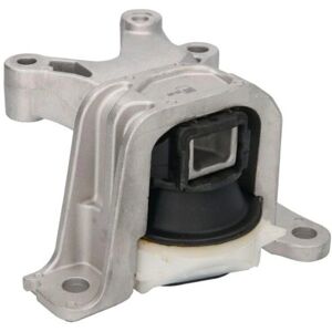 REINHOCH RH11-2125 Supporto motore - Motorbefestigung, rechte Seite REINHOCH RH11-2125 Supporto motore - Motorbefestigung, rechte Seite