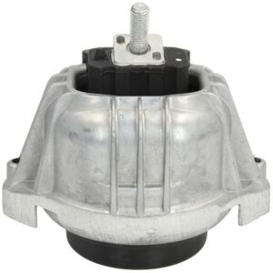 REINHOCH RH11-3026 Supporto motore idraulico Destro - Supporto motore REINHOCH RH11-3026 Supporto motore idraulico Destro - Supporto motore