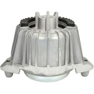 Supporto motore RH11-3035 - Supporto idraulico anteriore sinistro per Mercedes-Benz Supporto motore RH11-3035 - Supporto idraulico anteriore sinistro per Mercedes-Benz