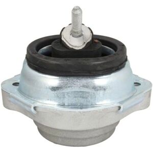 REINHOCH RH11-3037 Motorklamma - Främre hydraulisk stöd BMW X5 REINHOCH RH11-3037 Motorklamma - Främre hydraulisk stöd BMW X5