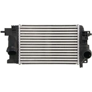 THERMOTEC DAX017TT Intercooler - Opel Meriva B THERMOTEC DAX017TT Intercooler - Opel Meriva B