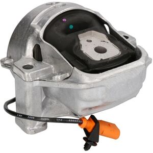 Supporto motore REINHOCH RH11-0139 Destro - Supporto idraulico silenzioso per AUDI Supporto motore REINHOCH RH11-0139 Destro - Supporto idraulico silenzioso per AUDI