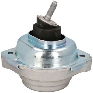 REINHOCH RH11-3064 Motorsteun - Hydraulische steun - Recht voorzijde REINHOCH RH11-3064 Motorsteun - Hydraulische steun - Recht voorzijde
