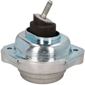 Supporto motore REINHOCH RH11-3069 - Supporto idraulico destro BMW X3 Supporto motore REINHOCH RH11-3069 - Supporto idraulico destro BMW X3