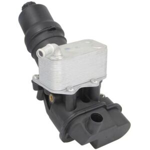 Radiatore dell'olio in alluminio THERMOTEC D4A021TT per VW Audi - Radiatore olio Radiatore dell'olio in alluminio THERMOTEC D4A021TT per VW Audi - Radiatore olio