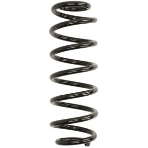 Magnum Technology SW164MT - Achteras veerspiraal Magnum Technology SW164MT - Achteras veerspiraal