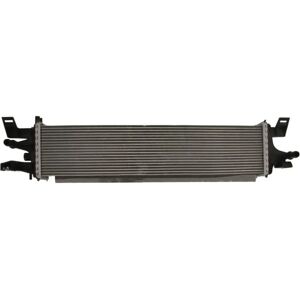 THERMOTEC DAG020TT Intercooler - Alumiini, 142x665 mm THERMOTEC DAG020TT Intercooler - Alumiini, 142x665 mm